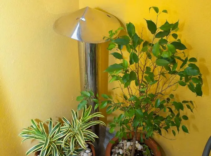 0 Ac Metro Nearby Lejlighed Porto