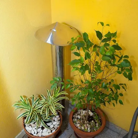 Charming Flat Vibrant Decor Metro Ac In Apartamento Oporto